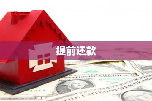琼结提前还款