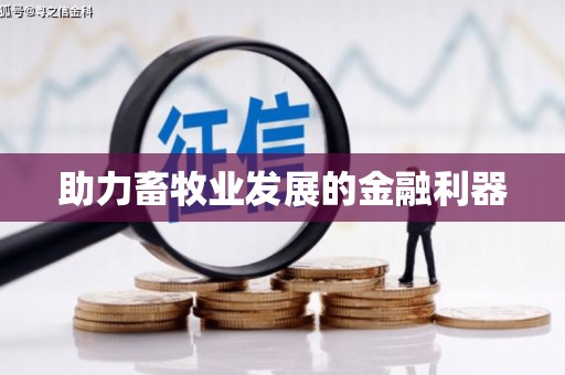 琼结助力畜牧业发展的金融利器