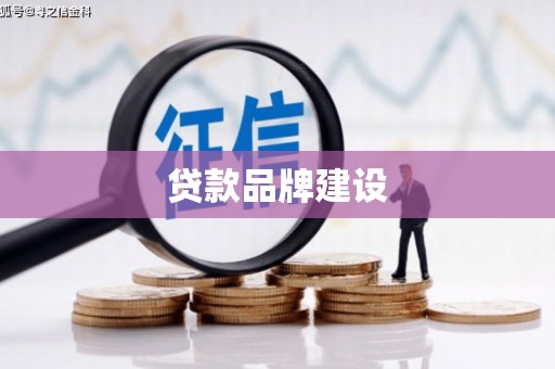 琼结贷款品牌建设