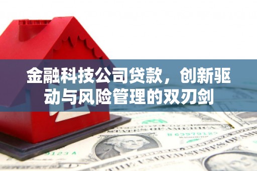 琼结金融科技公司贷款，创新驱动与风险管理的双刃剑